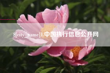 池州1.中国执行信息公开网