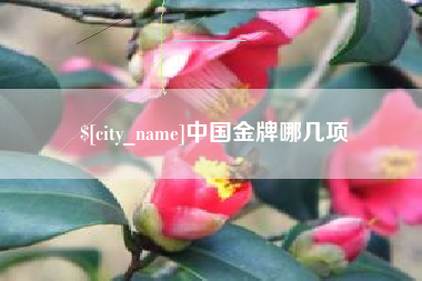 池州中国金牌哪几项