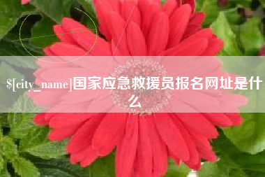池州国家应急救援员报名网址是什么