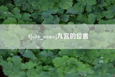 池州九宫的位置
