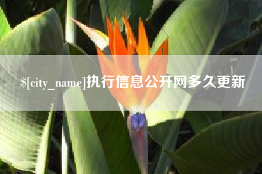 池州执行信息公开网多久更新