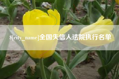 池州全国失信人法院执行名单
