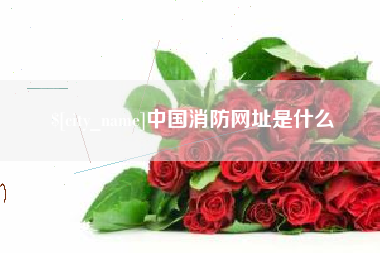池州中国消防网址是什么