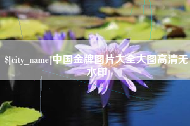 池州中国金牌图片大全大图高清无水印