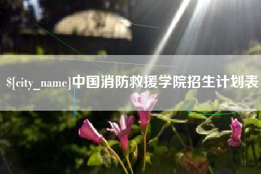 池州中国消防救援学院招生计划表
