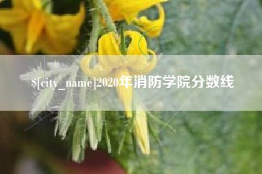 池州2020年消防学院分数线