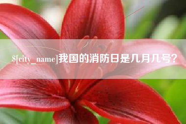 池州我国的消防日是几月几号？