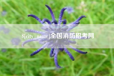 池州全国消防招考网