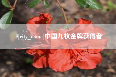 池州中国九枚金牌获得者