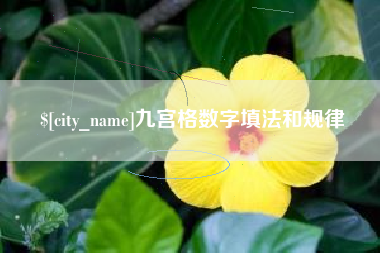 池州九宫格数字填法和规律