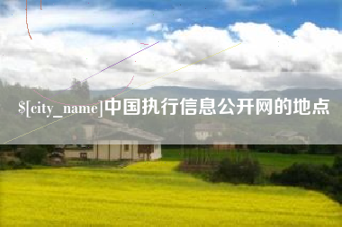 池州中国执行信息公开网的地点