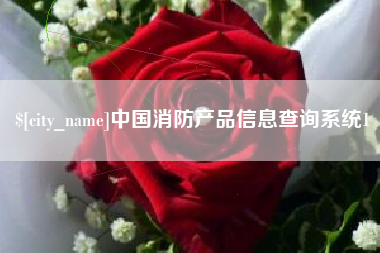 池州中国消防产品信息查询系统1