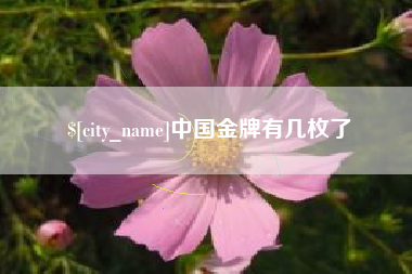 池州中国金牌有几枚了