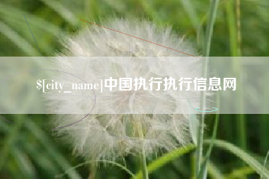 池州中国执行执行信息网