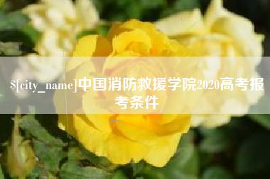池州中国消防救援学院2020高考报考条件