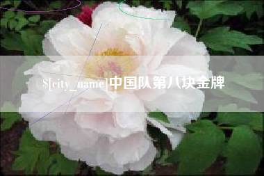 池州中国队第八块金牌