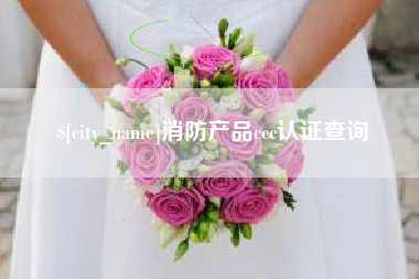 池州消防产品ccc认证查询