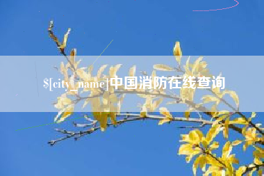 池州中国消防在线查询