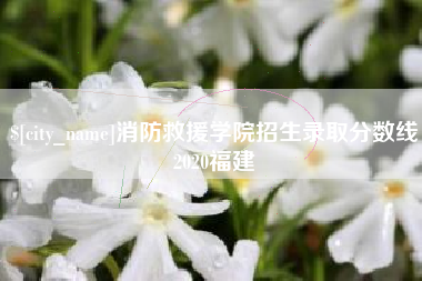 池州消防救援学院招生录取分数线2020福建