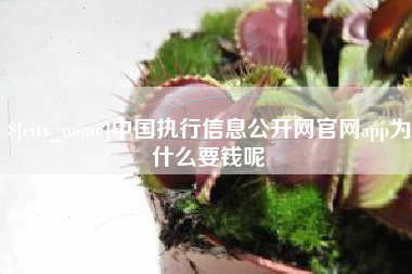 池州中国执行信息公开网官网app为什么要钱呢