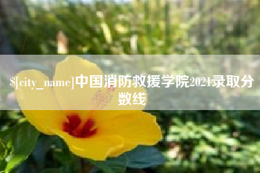 池州中国消防救援学院2021录取分数线