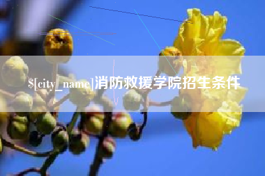 池州消防救援学院招生条件