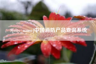 池州中国消防产品查询系统