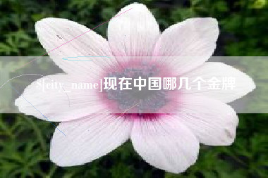池州现在中国哪几个金牌