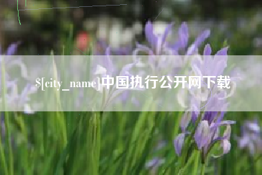 池州中国执行公开网下载