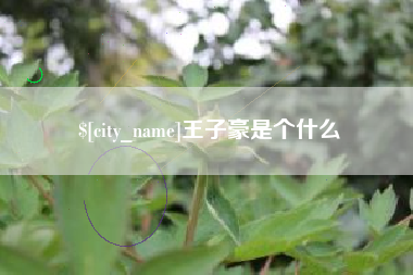 池州王子豪是个什么
