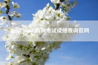 池州消防考试成绩查询官网