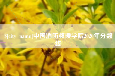 池州中国消防救援学院2020年分数线