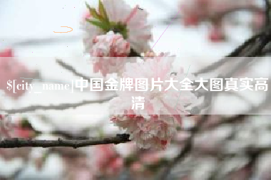 池州中国金牌图片大全大图真实高清