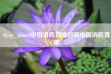 池州中国消防直播回放中国消防直播