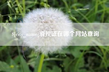 池州消控证在哪个网站查询