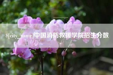 池州中国消防救援学院招生分数