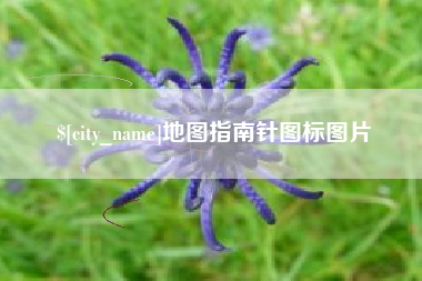 池州地图指南针图标图片