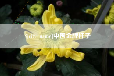 池州中国金牌样子