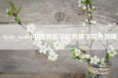 池州中国消防学院救援学院分数线