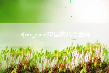 池州中国的几个金牌