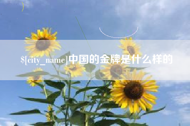 池州中国的金牌是什么样的