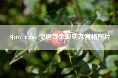 池州奥运夺金时刻九宫格图片
