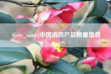 池州中国消防产品质量信息