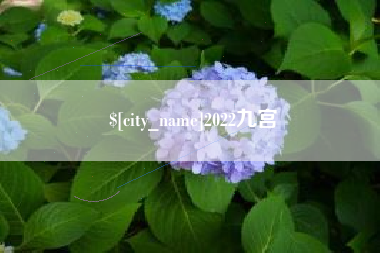 池州2022九宫