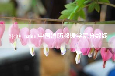池州中国消防救援学院分数线
