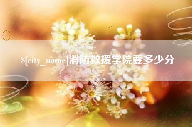 池州消防救援学院要多少分