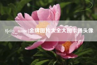 池州金牌图片大全大图卡通头像