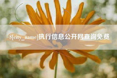 池州执行信息公开网查询免费